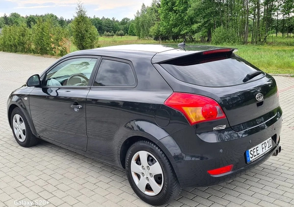 Kia Pro_cee'd cena 17900 przebieg: 170000, rok produkcji 2008 z Biała Podlaska małe 137